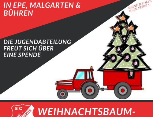 Weihnachtsbaum-Sammelaktion am 08.01.2022